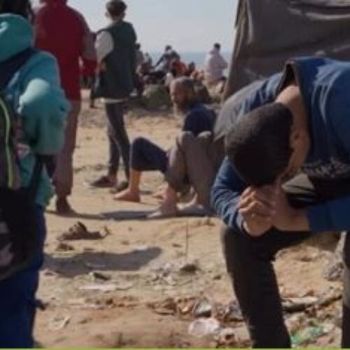 Open Doors on Palestine