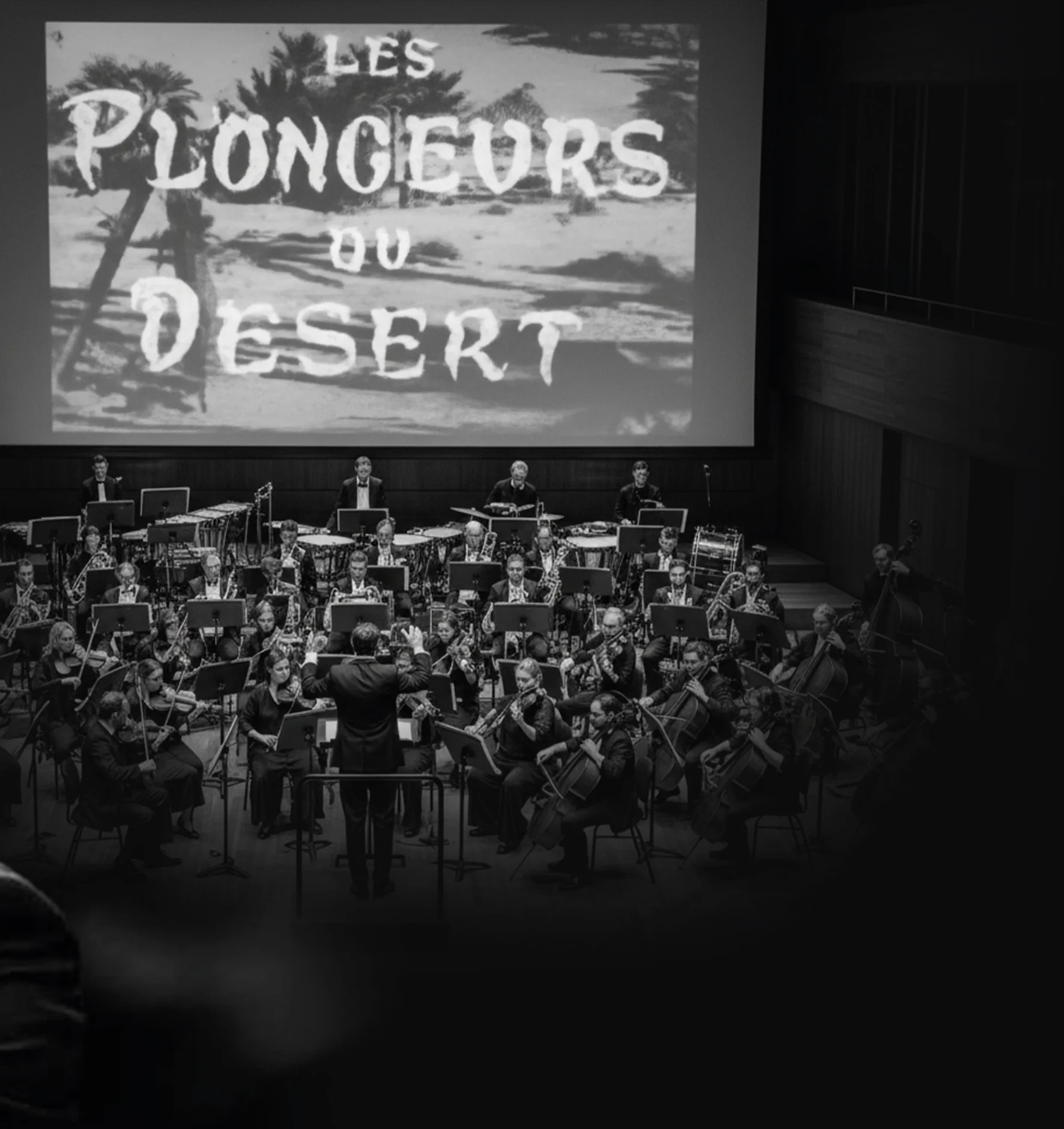 Les Plongeurs du désert